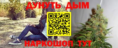 прущие грибы Апшеронск