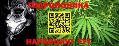 прущие грибы Апшеронск